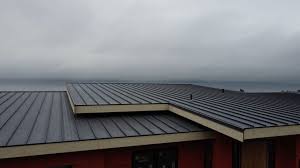 Best Roof Coating and Sealing  in Yorkville, WI